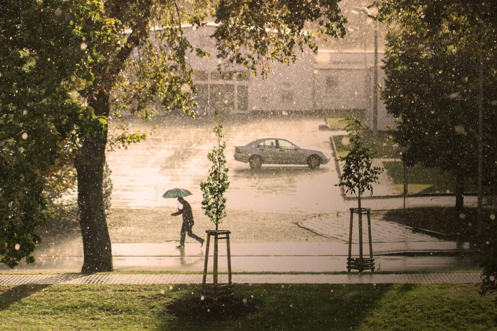 man, umbrella, rain-3581659.jpg